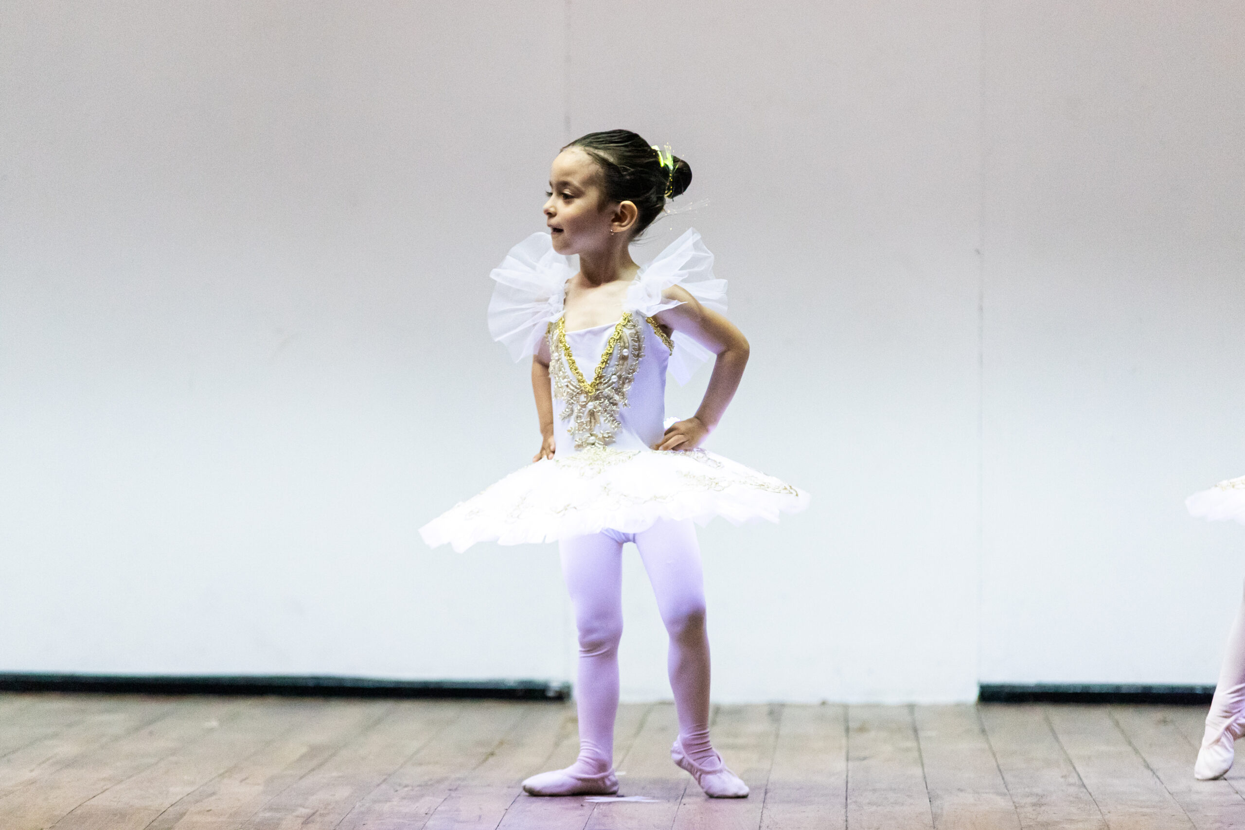 FlixBallet-show-10
