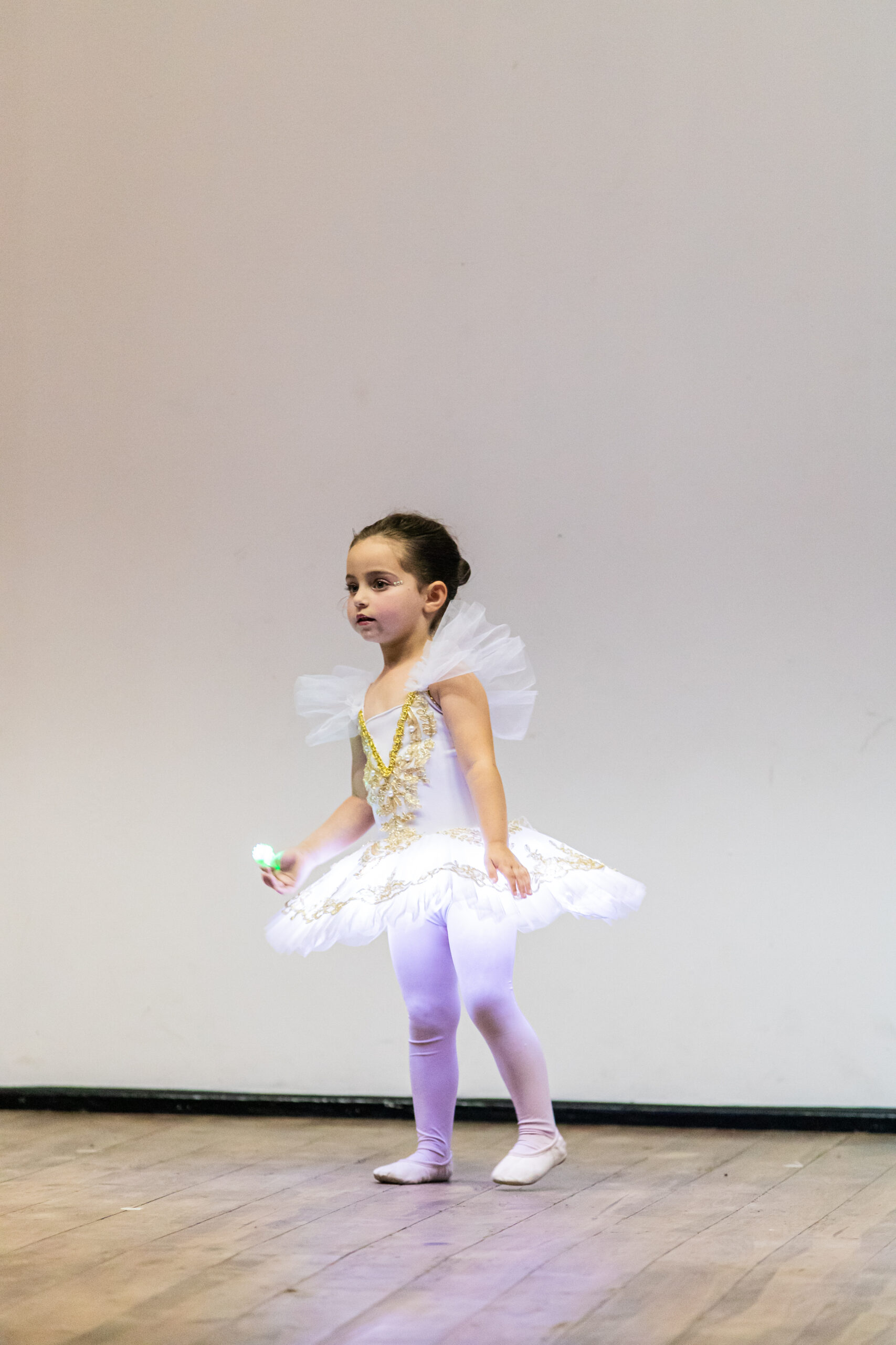 FlixBallet-show-14