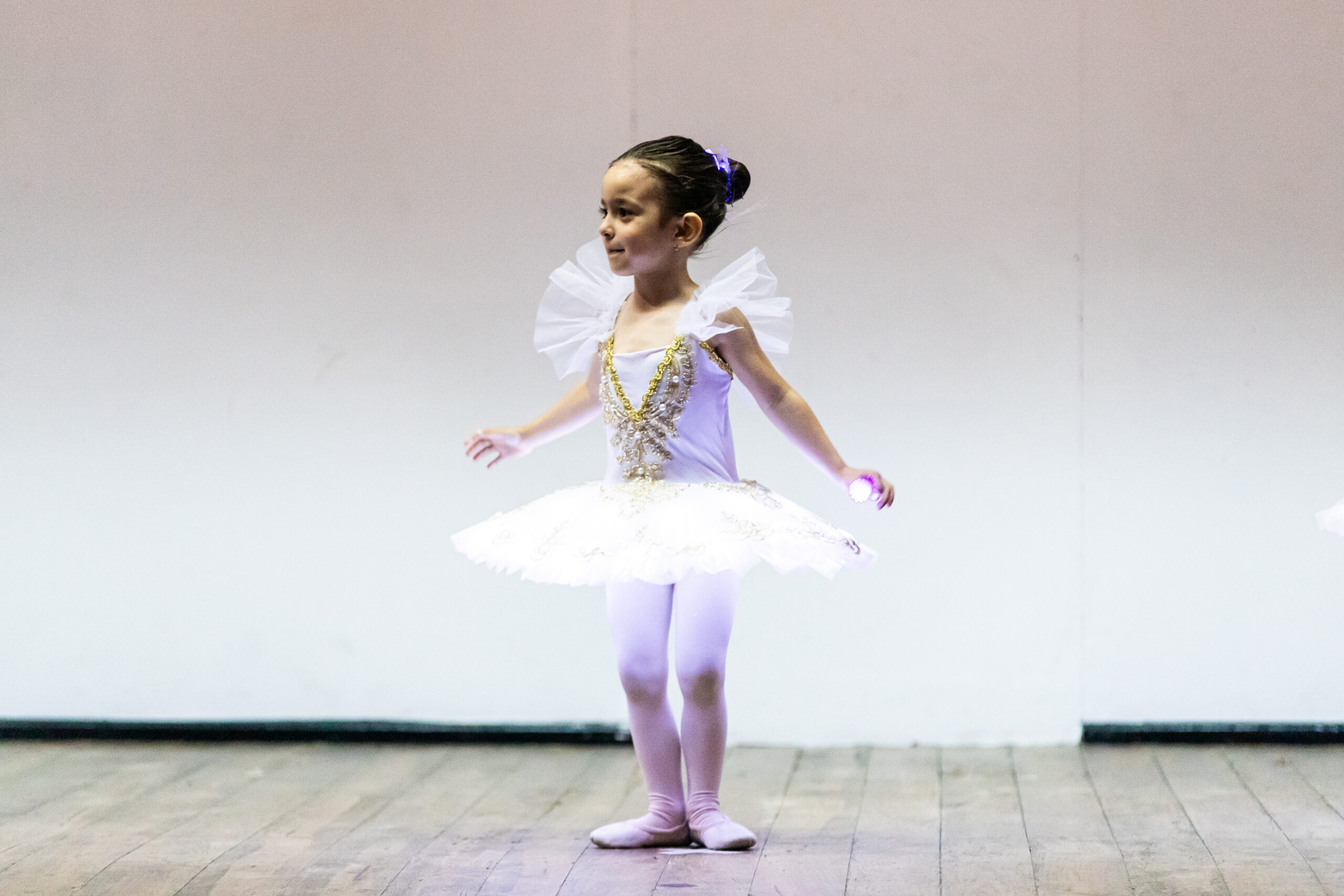 FlixBallet-show-9
